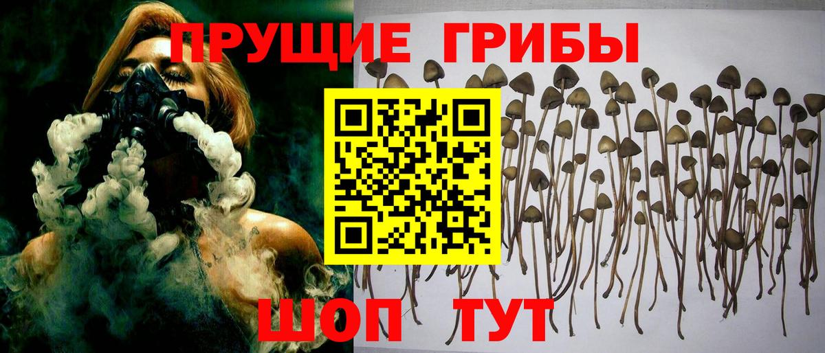 Галлюциногенные грибы мицелий  Вход с VPN  Нягань 
